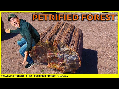Petrified Forest: This Park Has Everything - S11E6
