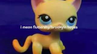 A song for Brooklyn Hayes/Fluttershy(HATE SONG)