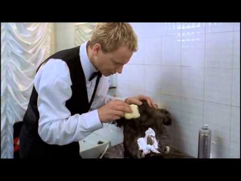 Poranek Kojota - GDZIE JEST KU*WA ŚWINIA ?!