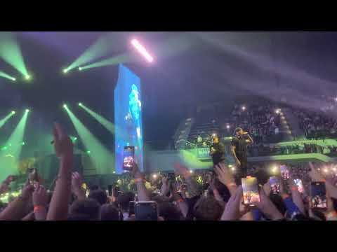 Palmen aus Plastik 3 live in Bremen