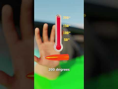 Can You Catch A Bullet? 😨