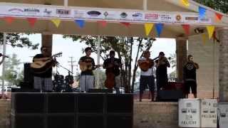 Borracho Te Recuerdo-(Vicente Cover) Mariachi Mi Tierra