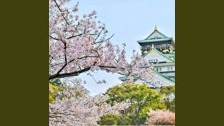 Download lagu Cherry Blossoms mp3