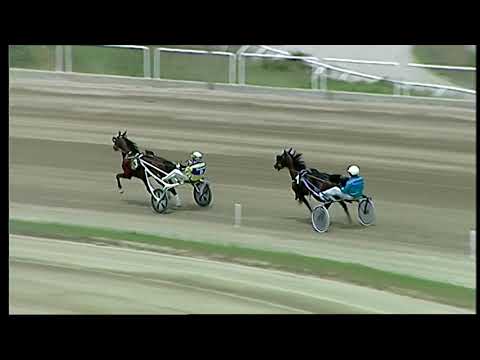 Napoli Trotto 14/05/2021 - prova di qualifica