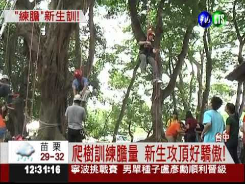 開學要爬樹練膽 東海新生皮皮剉!