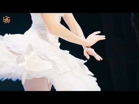 Teaser Mon premier Lac des Cygnes 