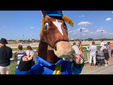 Ilyen volt a 100. Magyar Derby a Kincsem Parkban