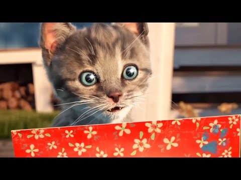 Little Kitten Adventures - Cute Pet Costume Dress up Party - Fun Kitten Game For Kids