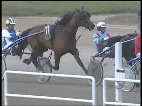 Trotto 14/12/2014 - 1° corsa