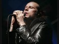 The Cult- "JOY" ( Joy De Vivre) -NEW!!!!!!