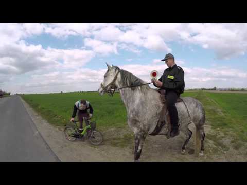 Koński zwis VS Policja |Kabaret Malina