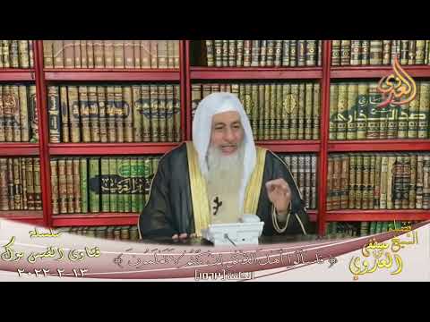 قصة  عليّ و معاوية رضي الله عنهما مختصرة؟ للشيخ مصطفي العدوي
