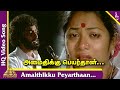 Amaidhikku Peyarthaan Video Song Rail Payanangalil Tamil Movie Songs TM Soundararajan