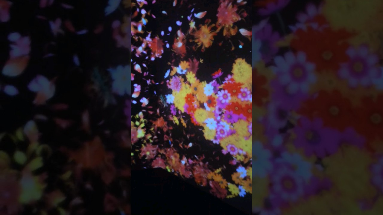 YouTube Short thumbnail