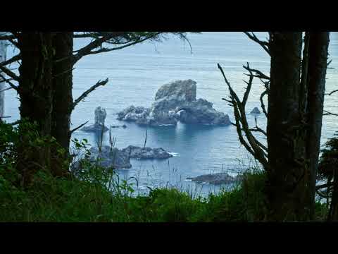 Oregon Coast Nature Sounds