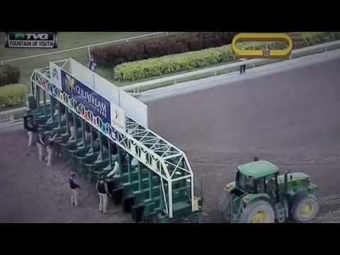 FOUNTAIN OF YOUTH (G 2) STAKES 3/3/18 - PROMISES FULFULLED !!!