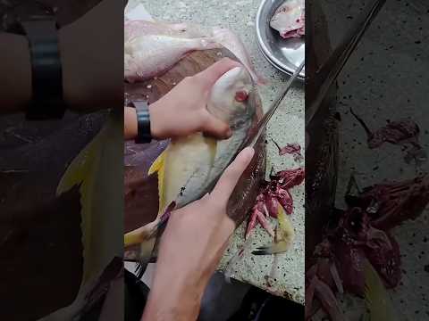 powua fish cutting #waz #fish #trending #wazbangla #shortvideo