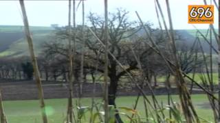 agricoltura-sannita-in-ginocchio