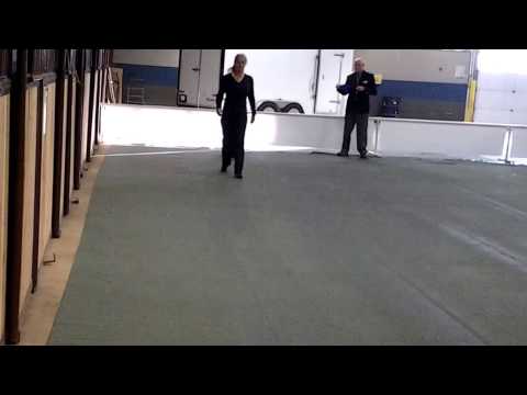 Mia v Falkenhein CGN RE CDX (CKC Open B) 17 November 2013 HIT 198.5