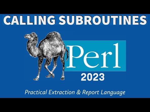 Perl Programming - Calling Subroutines 2023