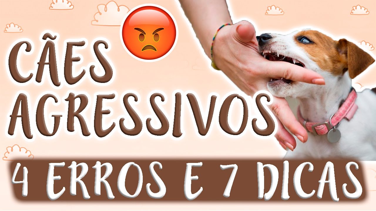 COMO AMANSAR CACHORROS VALENTES, AGRESSIVOS E NERVOSOS EM CASA DE FORMA INFALÍVEL? ★ LÓI CÚRCIO