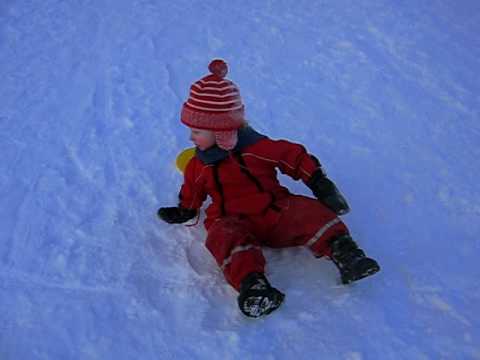 Stjärtlapp i 16 minusgrader
