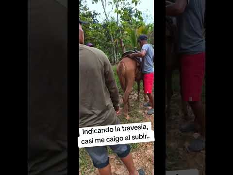 Gira misionera hacia Donoso Colón