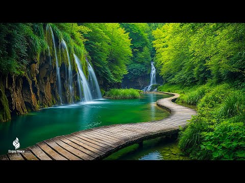 Finde dich selbst wieder – Beruhigende Musik für emotionale Heilung