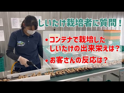 【栽培者にインタビュー】コンテナ工場で栽培したしいたけの出来栄えは？