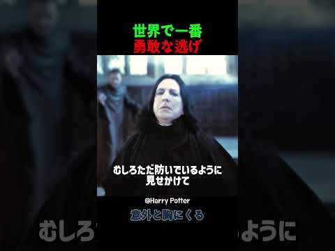 世界で一番勇敢な逃げ