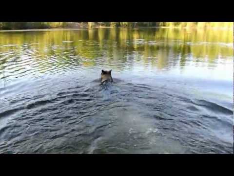 Symppis Elma uimassa 010.MOV