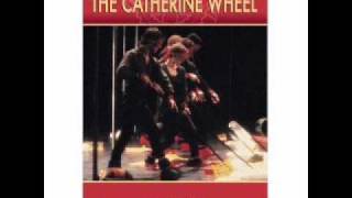 David Byrne - His Wife Refused (The Catherine Wheel).wmv