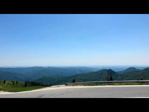 Saua Dichiu 2014 vara