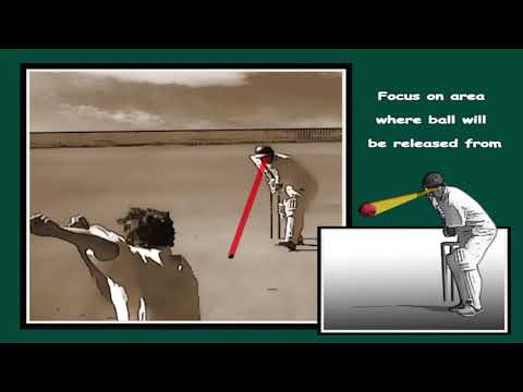 Cricket batting tips, pick up line and length earlier