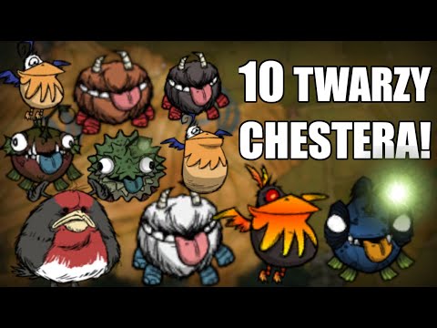 Aż 10 Różnych Chesterów? Don't Starve Poradnik!