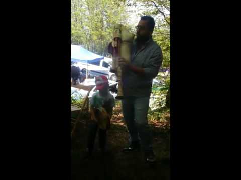 Madonna del pollino luglio 2016