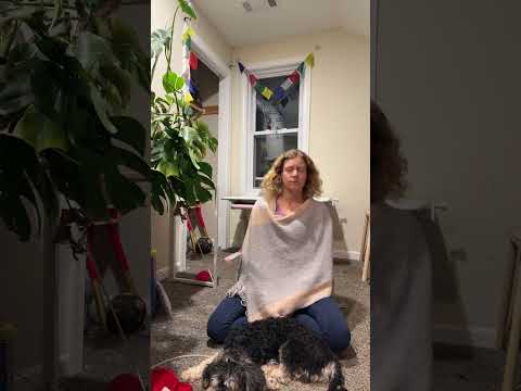 Video Thumbnail for 1 hour evening vipassana meditation. Meditate with me.🙏