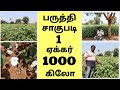 Cotton Cultivation Business Plan In Tamil Paruthi Vivasayam Eden TV Business