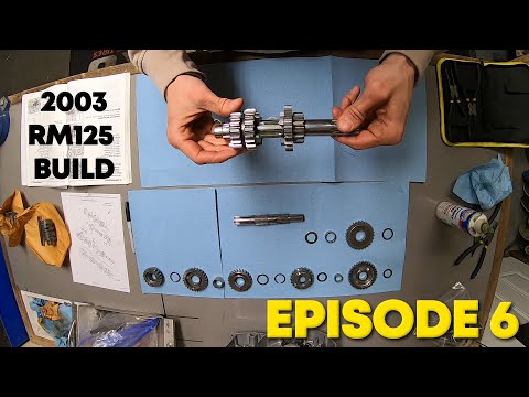 Rebuilding a Micropolished Transmission! 2003 Suzuki RM125 Build Episode 6