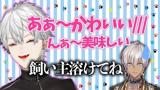 【葛葉】イマドで溶ける葛葉を目の当たりにするイブラヒム【葛葉/イブラヒム/イマジナリードッグ/にじさんじ/マリカ/切り抜き】