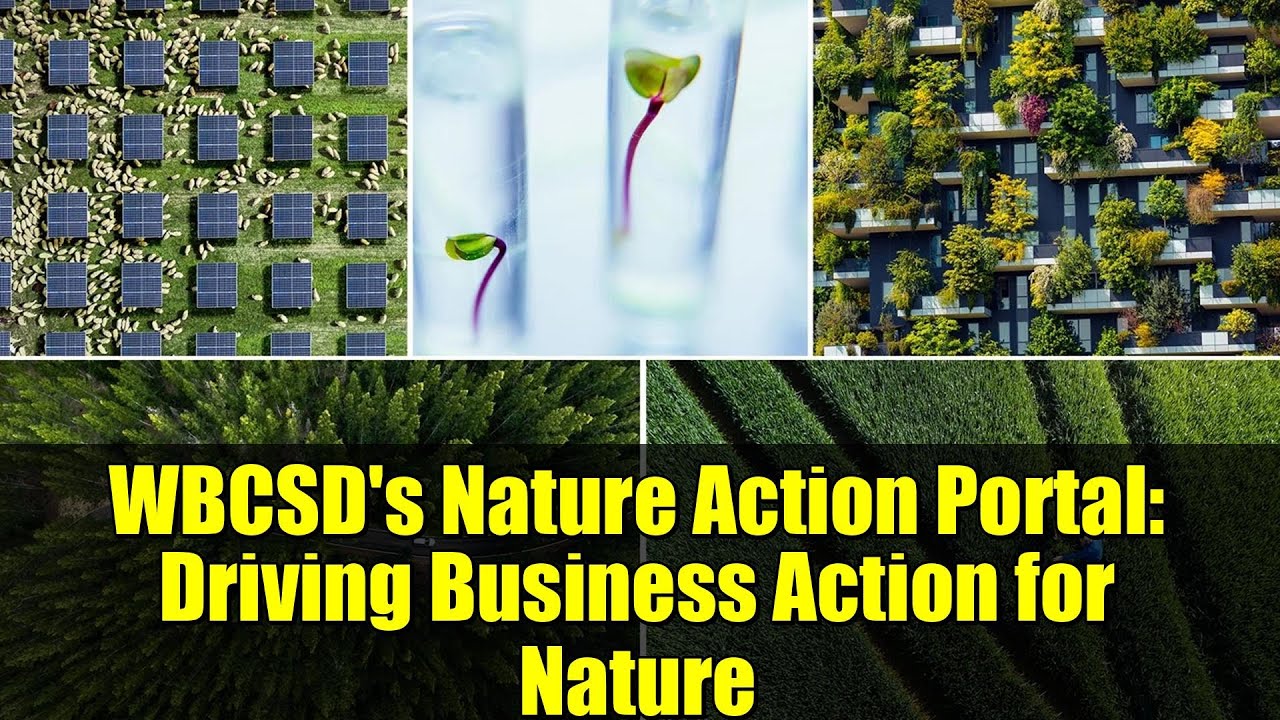 WBCSD's Nature Action Portal: Driving Business Action for Nature | Sustainable Development Explained