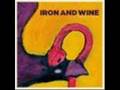 Boy with a Coin By Iron and Wine 
