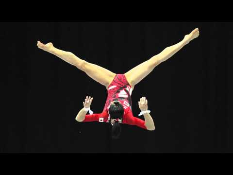 The best of London 2012 Olympics: Gymnastics: an instant expert's guide
