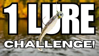 This Might Be the HARDEST Fishing Mission I've Ever Attempted... (ONE LURE, EIGHT SPECIES!)