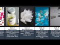 Comparison The Most Dangerous Drugs