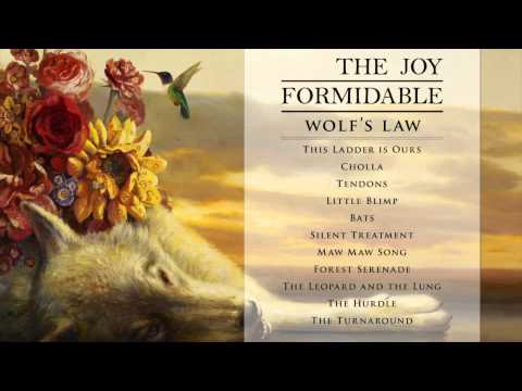 The Joy Formidable - Silent Treatment [Official Audio from Wolf's Law]
