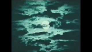 (the) Melvins - "Blood Witch"