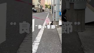 良い季節