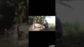 Download lagu Cerita ne wong lagi mancing mp3