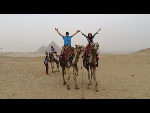 Camel ride in giza, Egypt